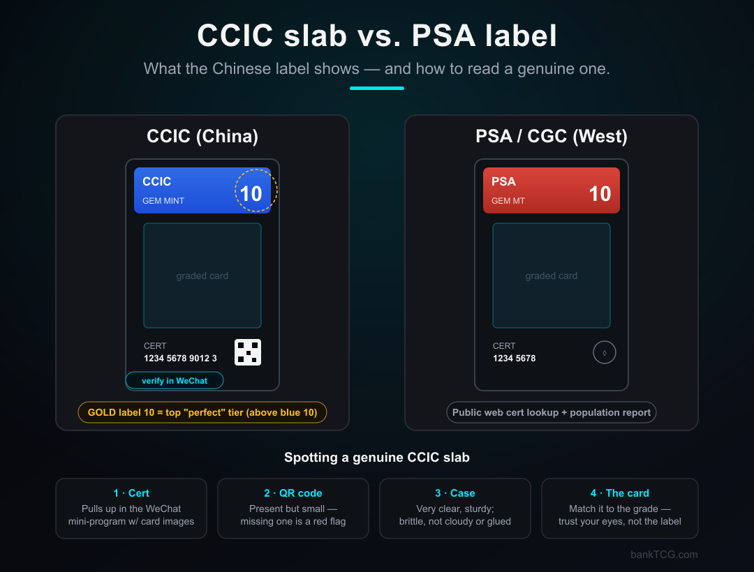 Diagram comparing a CCIC slab label to a PSA/CGC label, highlighting the CCIC scale, serial/verification area, and the label features that distinguish a genuine CCIC slab from a counterfeit
